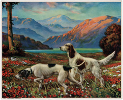 Hunters Paradise R A Fox